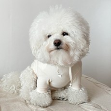 Bydamsoomi基本款毛圈狗狗連帽T恤, 象牙白