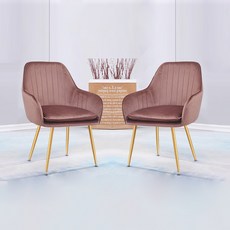 노아가구 루비 골드 체어 2p, 핑크, 2개