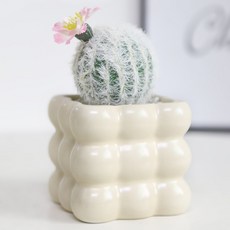 소유공간 버블볼 인조 녹색 식물 화분 세트 S261-0191FR, TYPE 6, 1세트