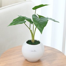 도시정원 조화 모던 원형 타로 소품, 1개