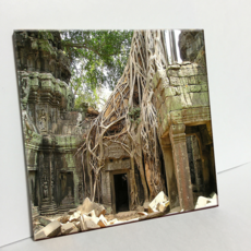 HTP 磁磚照片 C921 生根的樹