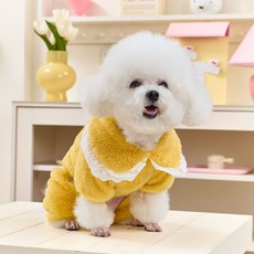 파스텔펫 반려동물 보들 빅카라 올인원, 옐로우, 1개