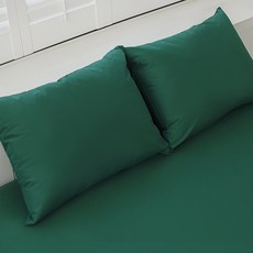 Nature Living Fiable 柔軟防水枕頭套 2入