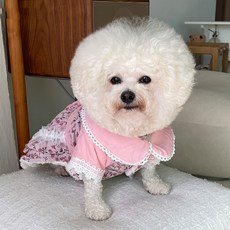 바이담수미 강아지 칼린기모 원피스, 핑크, 1개