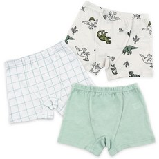 Maykids 恐龍系列兒童內褲 3件組