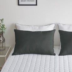 The Zari 黑色滾邊飯店風格枕套 2入