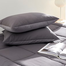 LaMonte 超細纖維素色枕頭套 2入