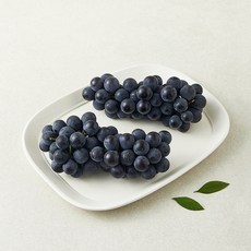 산들이랑 캠벨포도, 1개, 500g