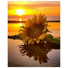 KMELLIE 帆布畫框一體成型 3D 圓形 鑽石畫 DIY 套組 50 x 40 cm, 黃金晚霞向日葵, 1套