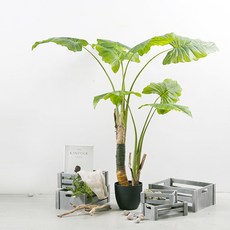 瑪西金盞花人造裝飾樹 120公分, 纖細海芋, 1個