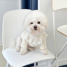 바이담수미 강아지 살랑 케이프 가디건, 아이보리, 1개