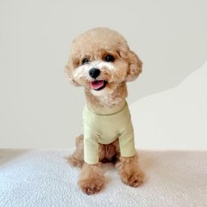 Grooming Dog 狗狗半高領口袋基本T恤, 綠色