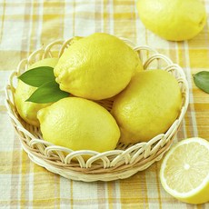 미국산 더네이처 레몬, 700g, 1개
