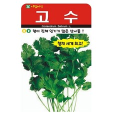 아람종묘 고수 씨앗 300립, 1개