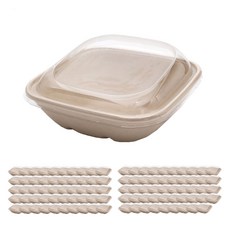 PACKAGE HERO 方形沙拉容器+蓋子 750ml 186*186*66mm, 100組, 1件