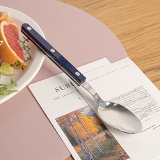 티니블랑 레브 디저트 양식 티스푼, 1개, 네이비