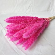 JM乾燥花人造小蘆葦 2入, 紅色