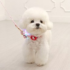 이츠독 강아지 디즈니 컴포트 LED 목줄, 미니, 1개