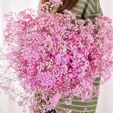 Sonio大容量口氣保鮮花花束, 02粉紅之星