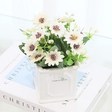 도시정원 샤인 데이지 조화 소품, 크림, 1개