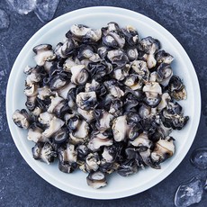 산지직송 부산 13번 중매인 논우렁살 해동 (냉장), 500g, 1개