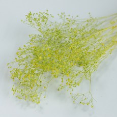 永生花迷你滿天星 2入, 綠色