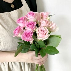 코코도르팜 생화 장미 2종 x 5대 세트, 연핑크, 진핑크