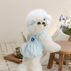 PETSLAND 寵物Marte洋裝, 天空藍, 1個