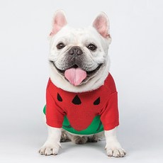 MING M 반려동물 수박 니트, 혼합색상, 1개