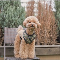 RealPet 狗狗軍事風胸背帶, CAMO, 1件