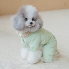 PETSLAND 寵物Toto All In One鋪棉連身衣, 淡綠色
