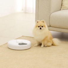 PetDreamer 寵物多合一冰袋ABS智能6格自動餵食器, 1個, 1.2L, 白色