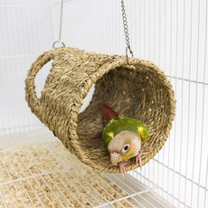 리프패럿 해초동굴 은신처 M, 베이지, 1개