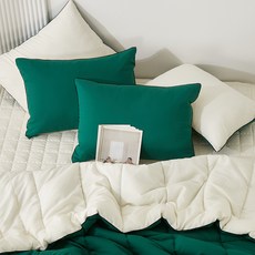 베개솜 + 베개커버 세트, 화이트(베개솜) + 그린(베개커버), 1개