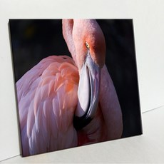 UDP 磁磚相框 A型 3879461, 單一顏色