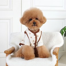 AMYLOVESPET 狗狗 BA 熊熊胸背帶鋪棉背心, 單一顏色