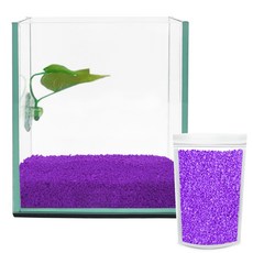 Aquatera 鬥魚玻璃魚缸 + 鬥魚床 + 彩石 1kg CH-G150, 紫色(彩石)
