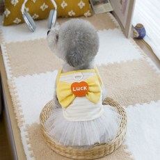 Qilci 狗狗蝴蝶結背心, 1個, 黃色