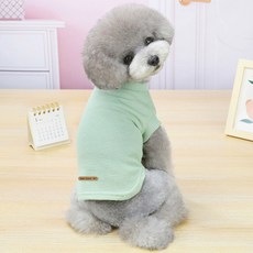 DING DONG PET 寵物日常T恤, 綠色