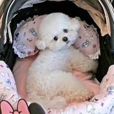 ITS DOG 狗狗迪士尼嬰兒朋友推車枕頭, 迷你, 1個