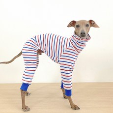 DOGGY STAR 義大利格雷伊獵犬條紋連身衣, 白色 + 藍色