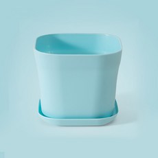 簡約粉彩塑膠多肉植物換盆花盆 + 托盤組, 藍色, 1個