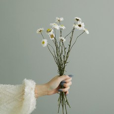 GAPANG 乾花佈置, 白色數字 05