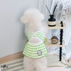 Puppy Dream 寵物條紋比基尼連身裙 10007, 綠色, 1個