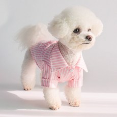 DING DONG PET 狗狗標準條紋襯衫, 粉紅色