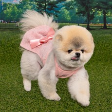 강아지 키라 원피스 OP7856, 인디안 핑크, 1개