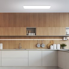 WONHA 閃電牌 亞克力 LED 吸頂燈 25W, 白色