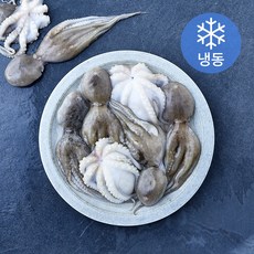 The더착한 활쭈꾸미 (냉동), 1개, 1kg(100/150)