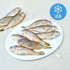 일품 법성포 이력추적 참조기 (냉동), 1개, 800g(대/10마리)