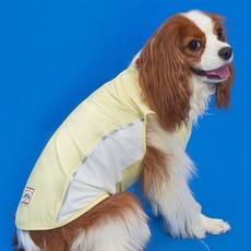 DOG-i 狗狗涼感冰涼T恤, 黃色, 1件